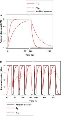 How Do Marine Mammals Manage and Usually Avoid Gas Emboli Formation and Gas Embolic Pathology? Critical Clues From Studies of Wild Dolphins